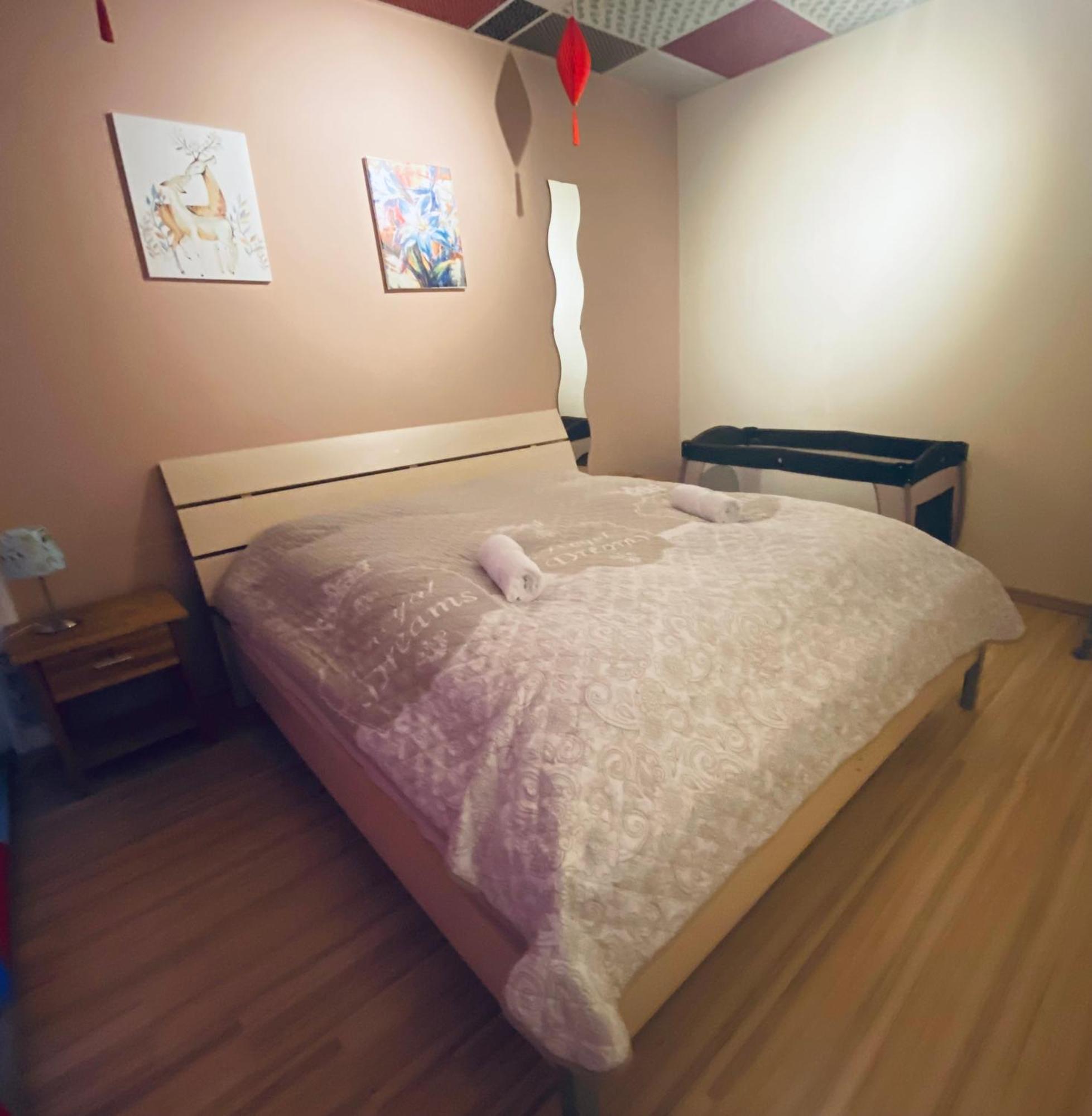Appartamento Flat For Up To 4 People In Dresden-Striesen Esterno foto
